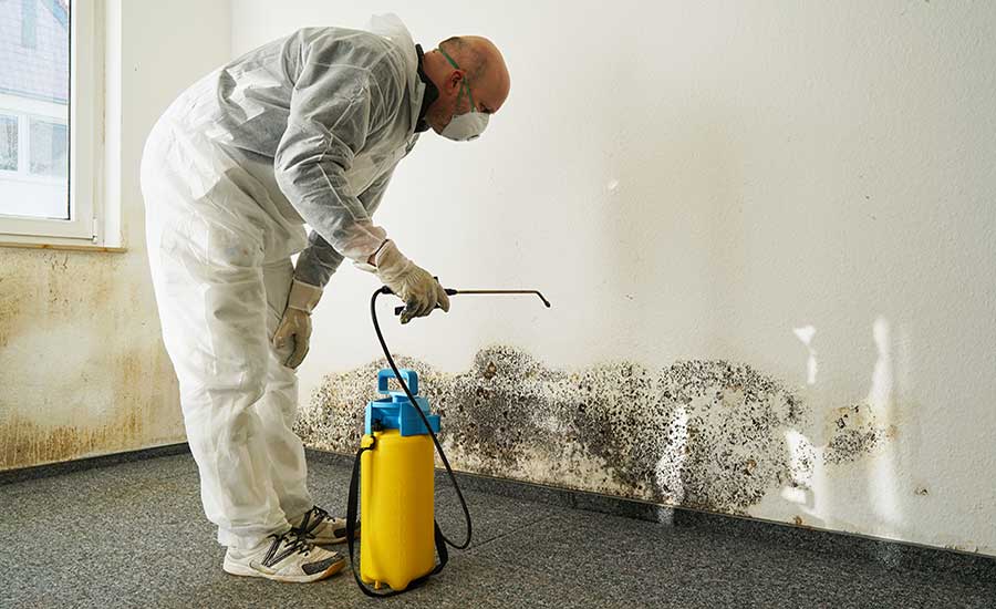 MOLD REMOVAL IN BURNABY : BREATHE EASY AGAIN