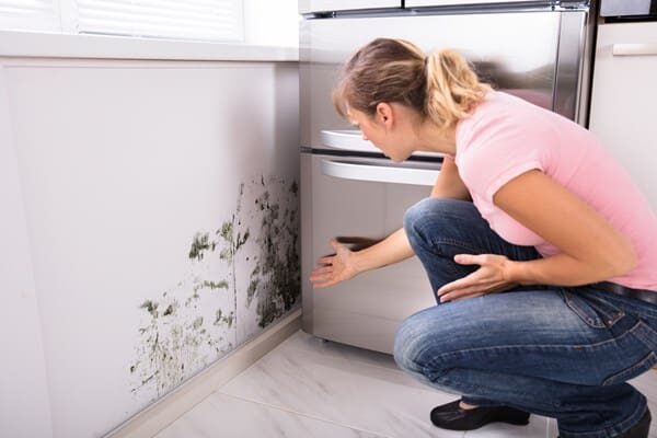 VANCOUVER MOLD INSPECTION + FREE VISIT AND CONSULTATION