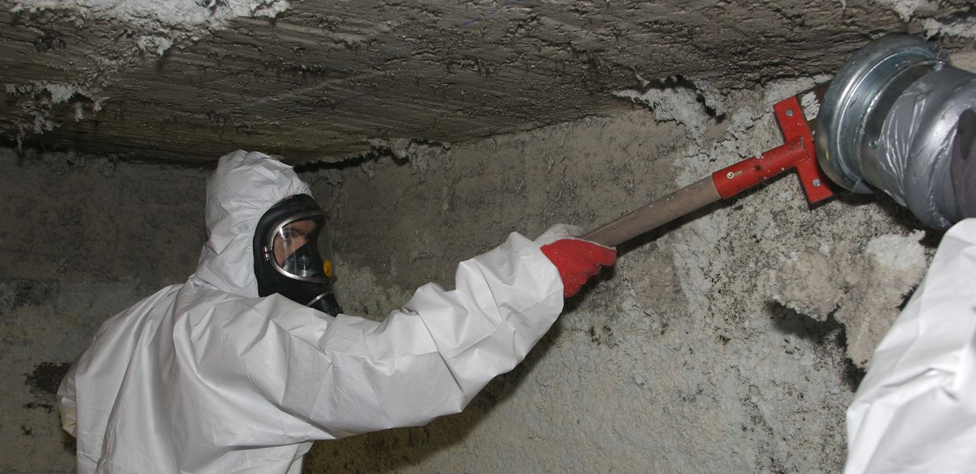 CONQUERING MOLD: YOUR ULTIMATE STEP-BY-STEP REDEMPTION PLAN