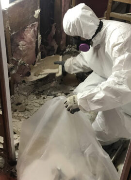 ASBESTOS REMOVAL-1