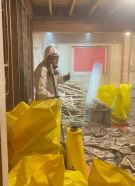 ASBESTOS REMOVAL-3